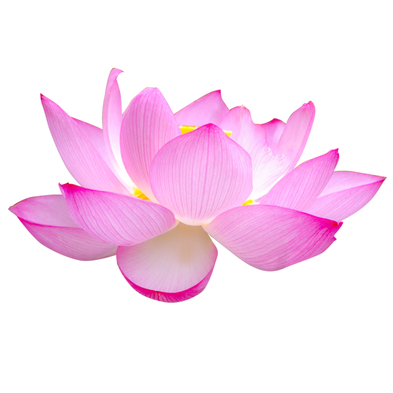 トップ画像